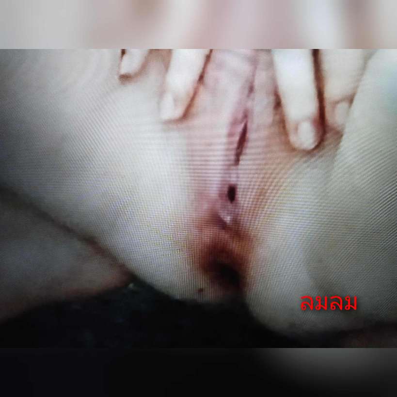 ชอบให้เมียแหกหีเยี่ยวให้ดู