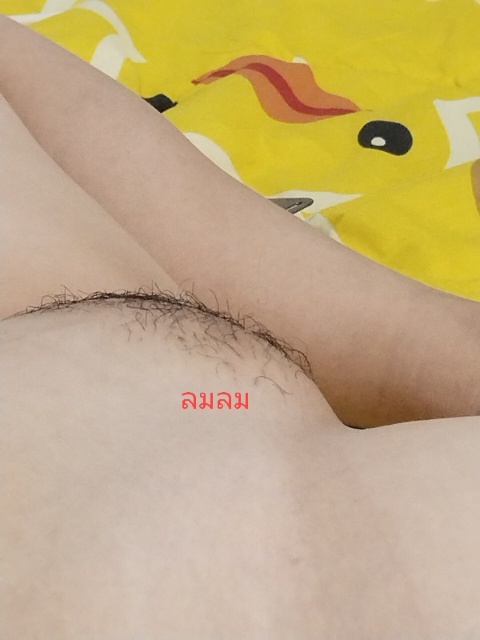 เอาหลังเต่าเมียมาให้ชมครับ